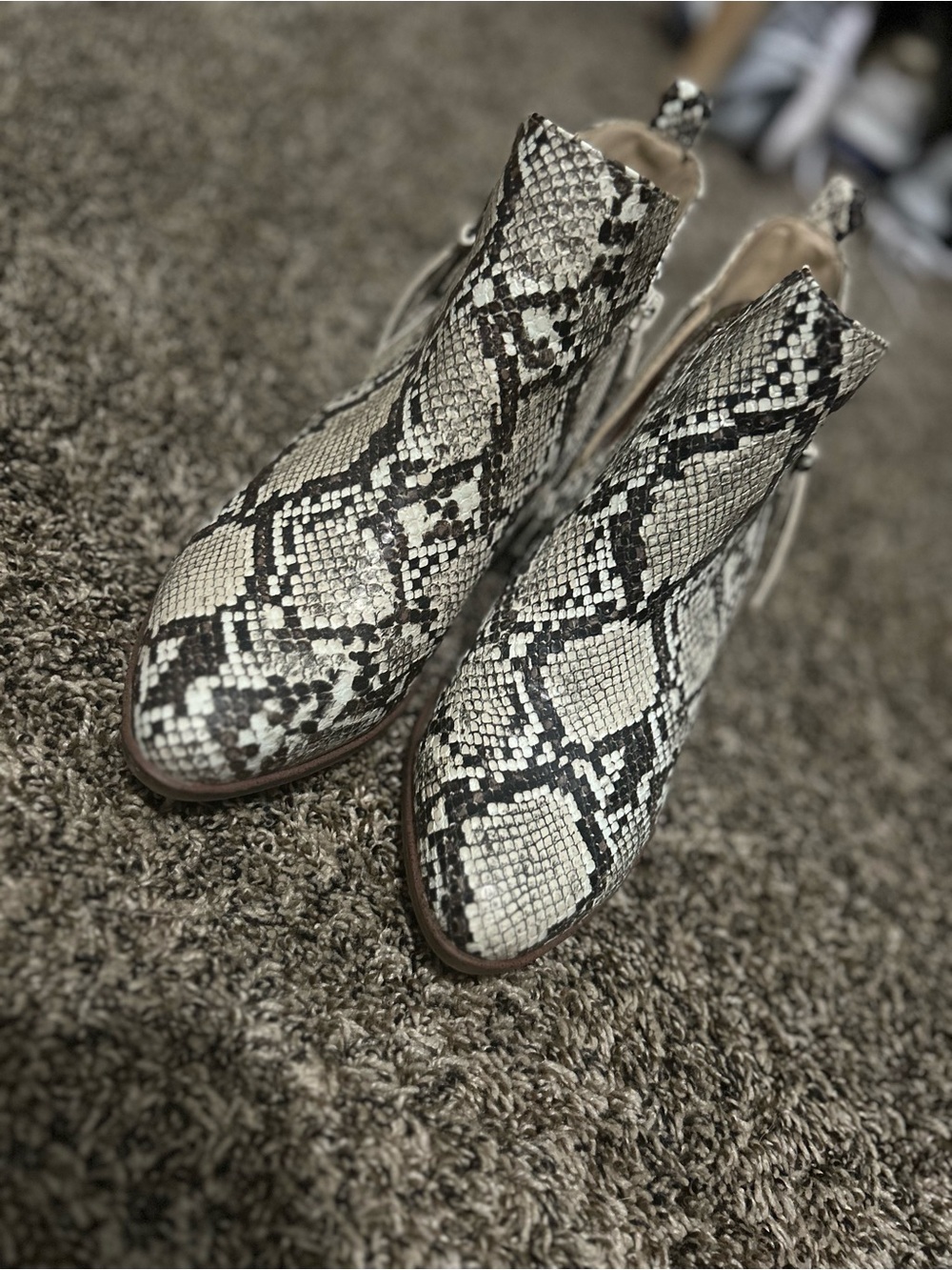 MIA Snake-Print Ankle Booties in Cream and Black